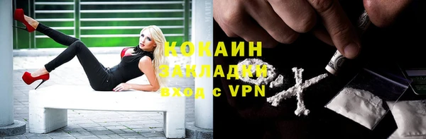кокс Алзамай