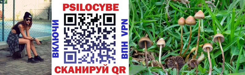 Галлюциногенные грибы Psilocybine cubensis  Кочубеевское 
