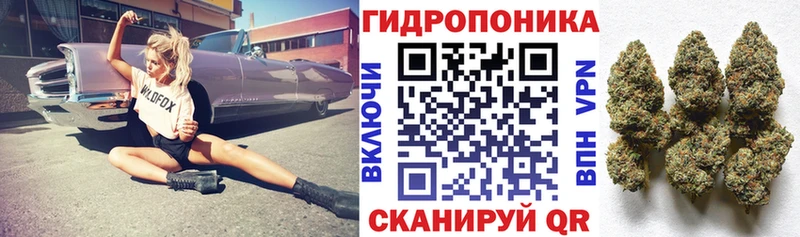 Конопля сатива  цена   Кочубеевское 